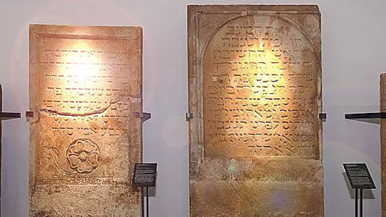 211d57b6e928060a2562a268194fd7d5495c54d5