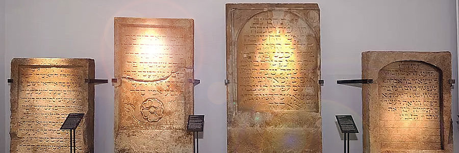 211d57b6e928060a2562a268194fd7d5495c54d5