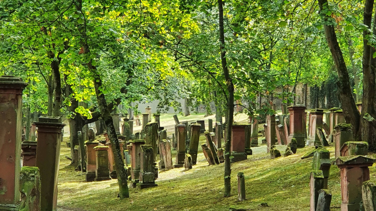 4d19a36fbf3775f2c9a140d1ea89f855465d7f26 1