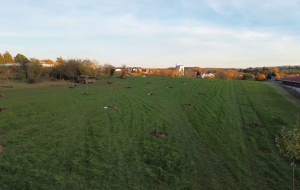 preview streuobstwiesen darmstadt baumpflanzaktion 2025 DJI 0111 1920x1080 5mbit vbr poster