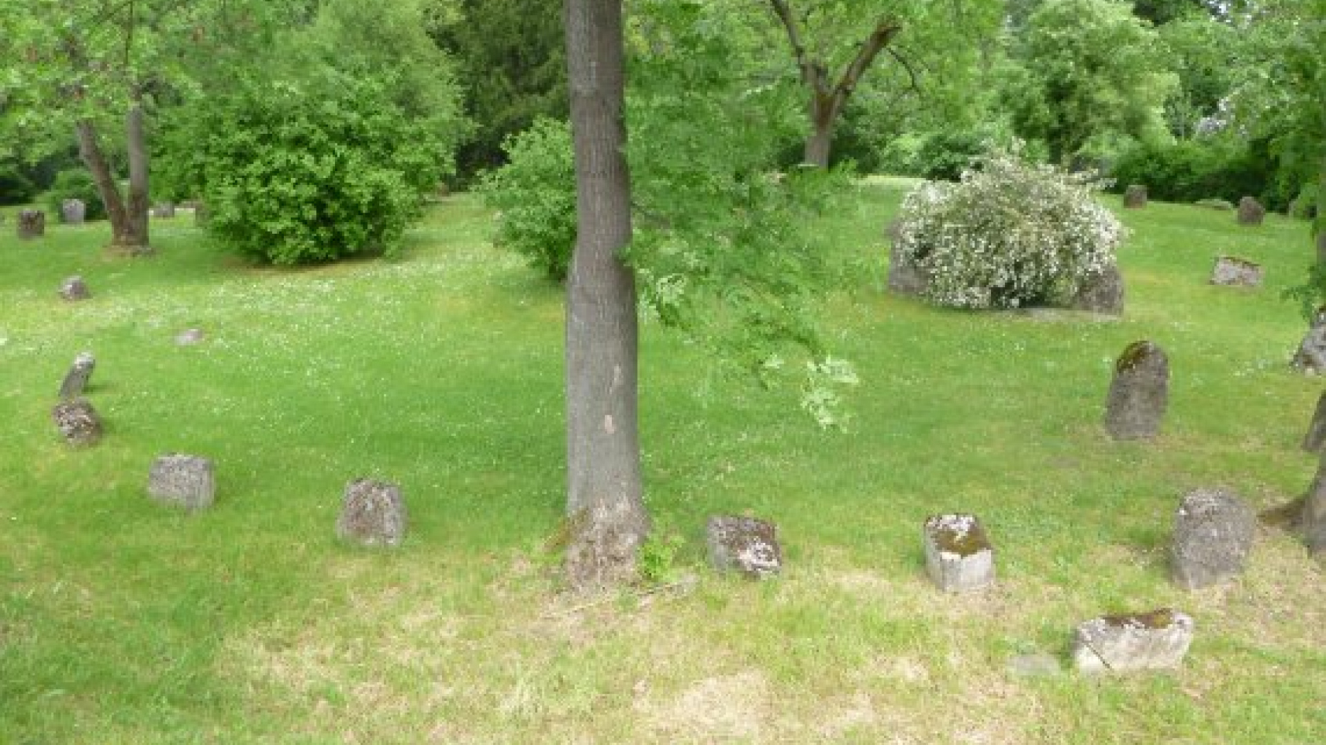 historia juda tombejo de majenco supre r